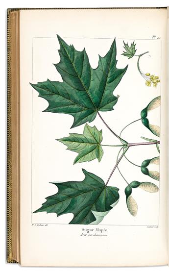 (BOTANICAL.) Francois Andre Michaux; and Thomas Nuttall. The North American Sylva;